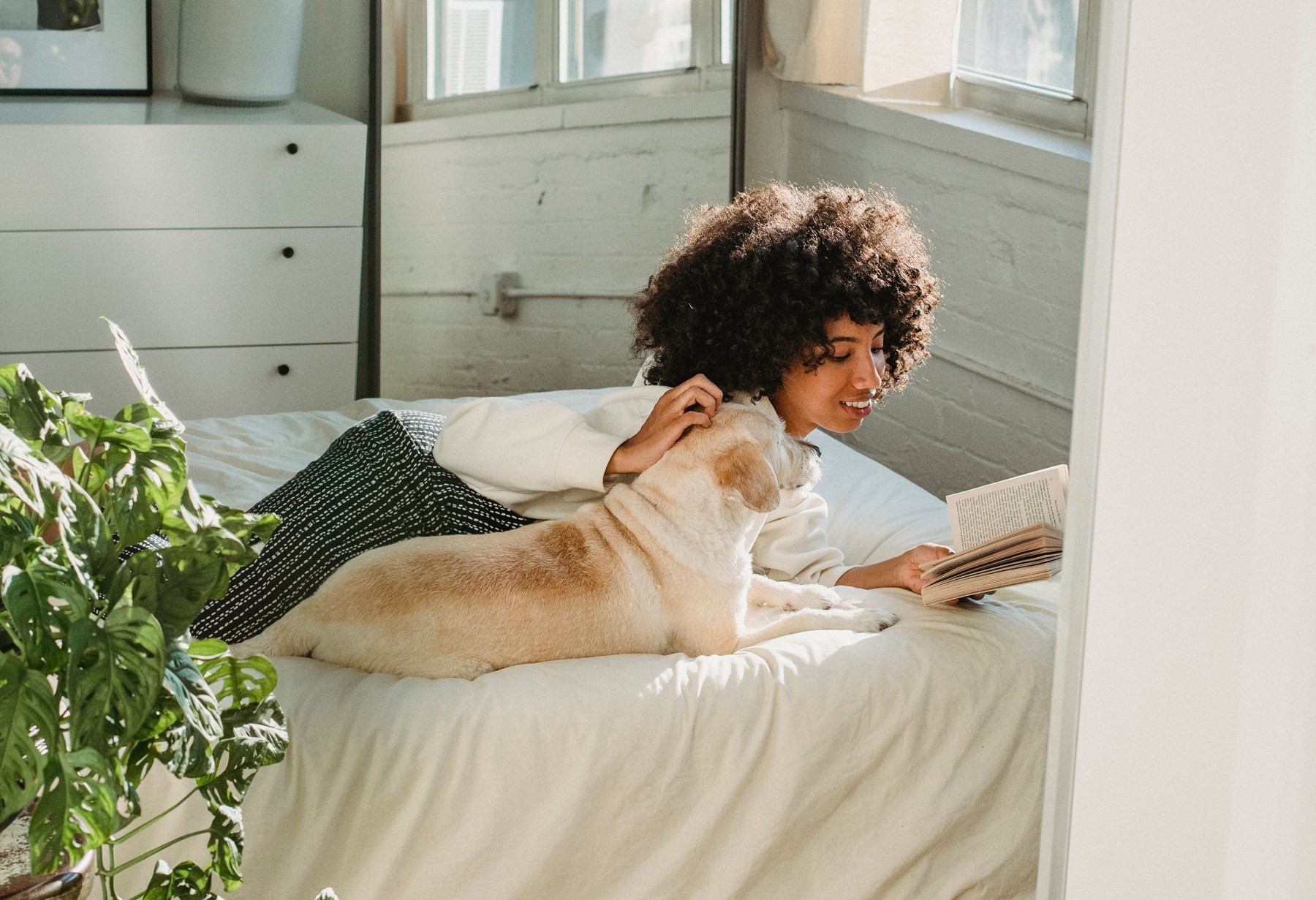 A woman reads a book on a bed while petting her dog.